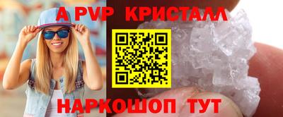 ешки Кингисепп