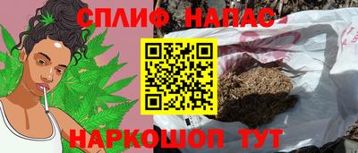 ешки Кингисепп