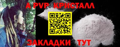 ешки Кингисепп