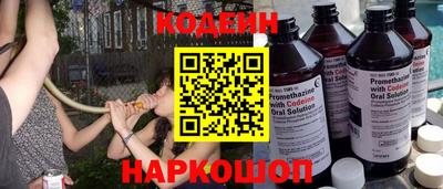 ешки Кингисепп