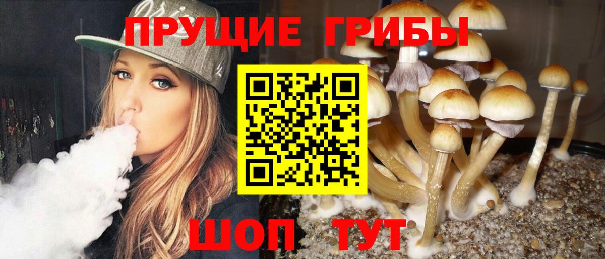 Галлюциногенные грибы Cubensis  Вход с VPN  Ишим 